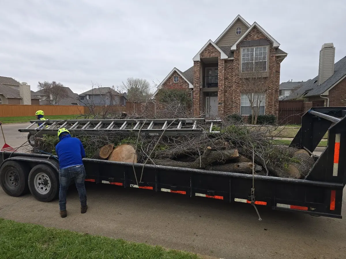 Expert Tree Fertilization with proper safety equipment in Chemung